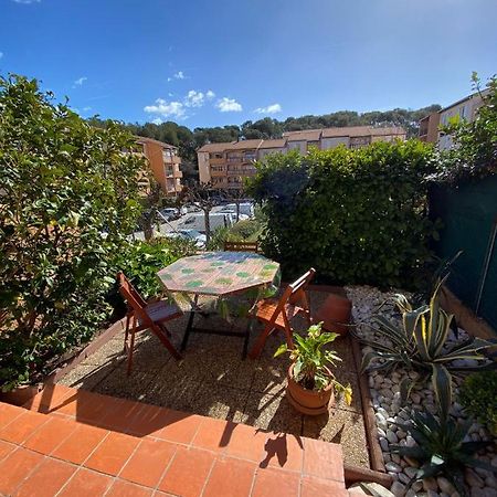 Charmant Studio Costebelle Proche Gare, Terrasse Et Parking Gratuit Apartamento Hyères Exterior foto