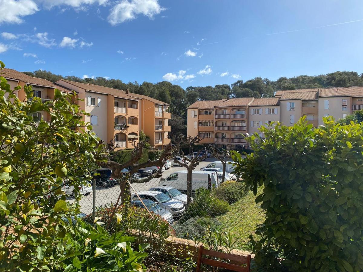Charmant Studio Costebelle Proche Gare, Terrasse Et Parking Gratuit Apartamento Hyères Exterior foto